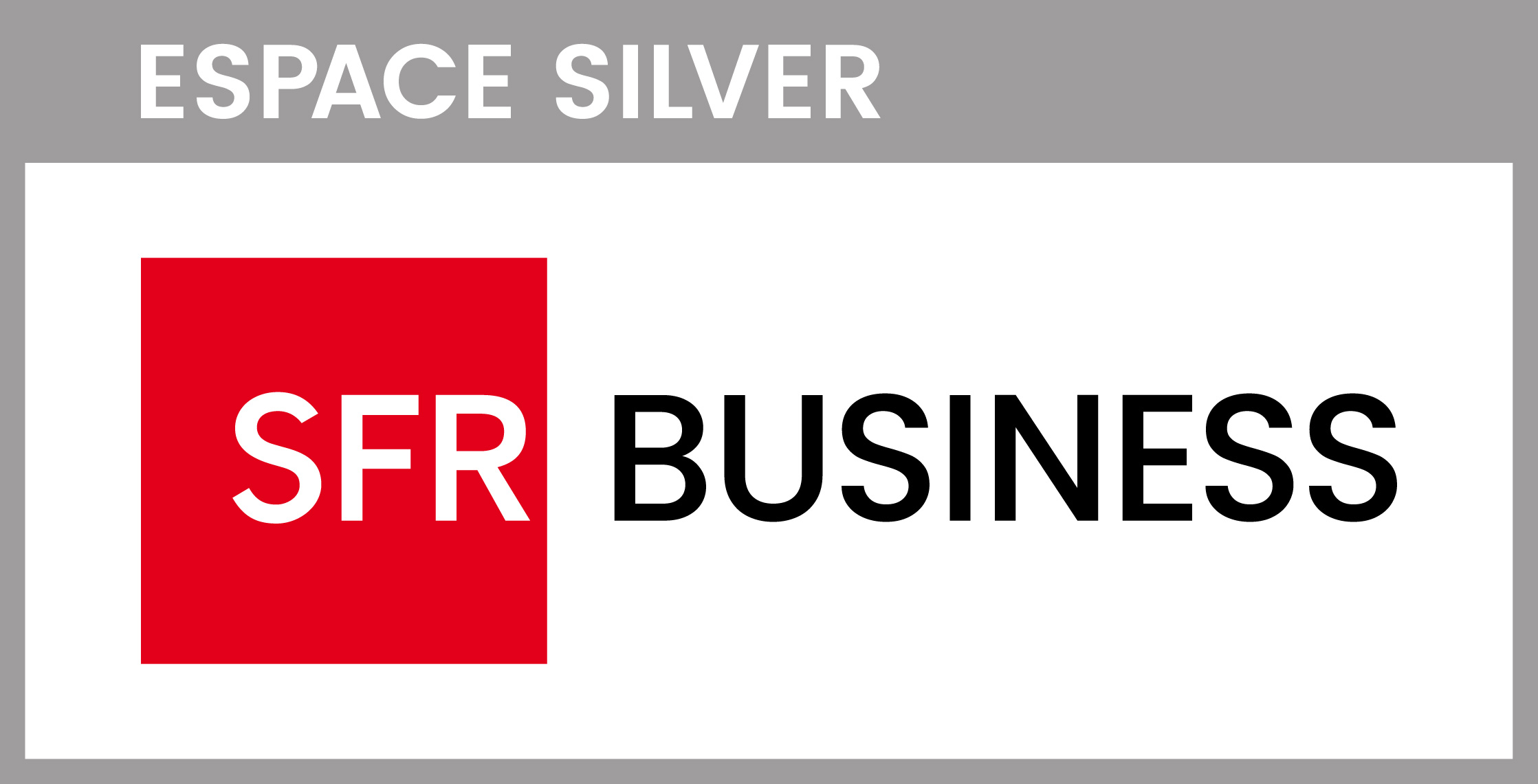 ESPACE_SILVER_SFR_BUSINESS_Logo_RVB